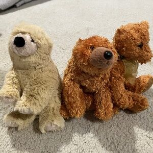 5 Beannie Babies Teddy Bears!